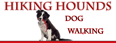 Hiking Hounds Dog Walking Services for Abbotsford and Mission BC